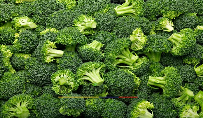 Broccoli IQF